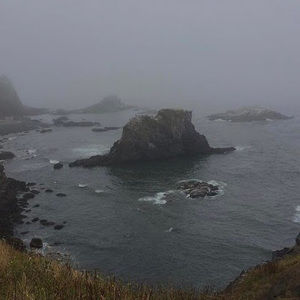 Meet your Posher, Zoe